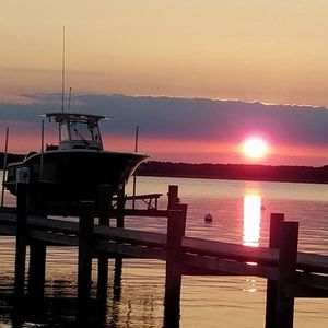 Meet your Posher, Mona